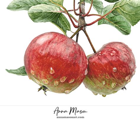 Image result for Anna Mason Tutorials Pear