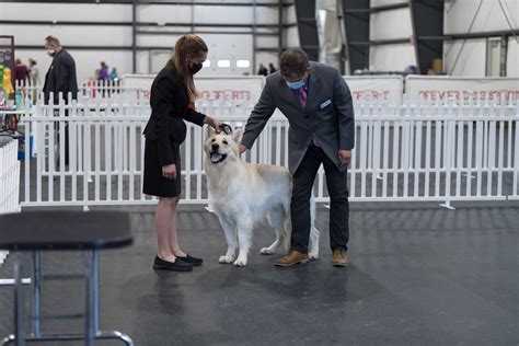 Picture Gallery in Lancaster, NY | Premier Dog Sports & Event Center