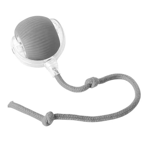 Buy Talking Dog Club Automatic Rotating Interactive LED Ball for Cats ...