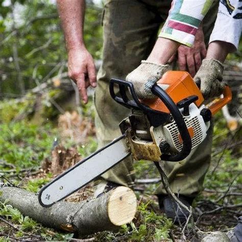 Image result for Mini Tree Cutter