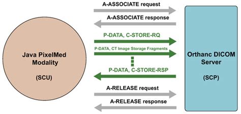 Information Hiding in the DICOM Message Service and Upper Layer Service ...