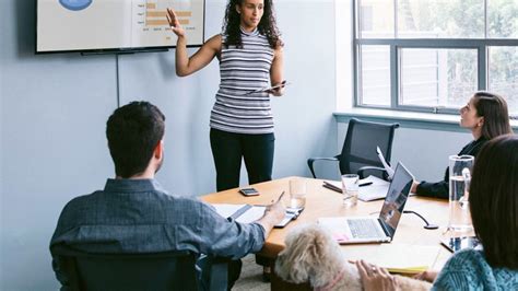 Image result for SQL Real Projects Advance Level