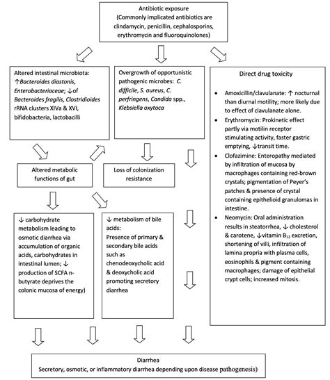 Antibiotic-Associated Diarrhea Beyond C. Difficile: A Scoping Review ...