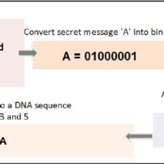 Encryption Example 的图像结果