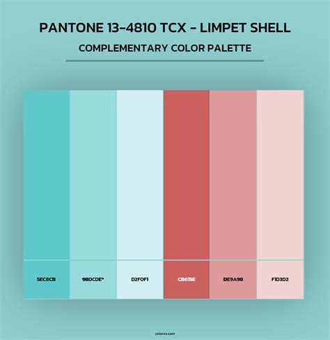 Image result for Limpet Shell Color