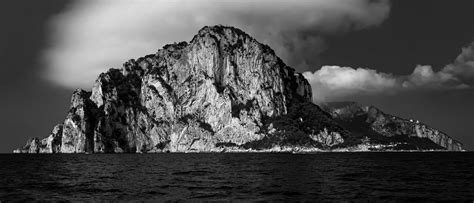 Nature Black and White 的图像结果