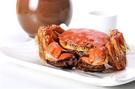 螃蟹蒸10分钟能熟吗?蒸螃蟹和煮螃蟹哪个好吃?(2)_食材百科_三顶养生网