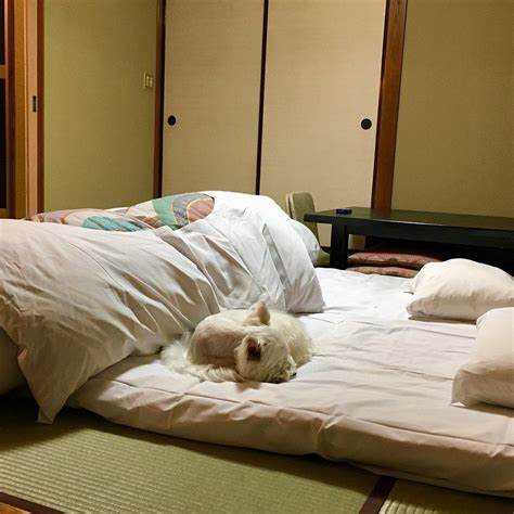 KINUGAWA KOKUSAI HOTEL (Nikko) - Hotel Reviews, Photos, Rate Comparison ...