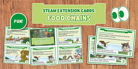 STEAM Extension Cards: Food Chains (teacher made) - Twinkl