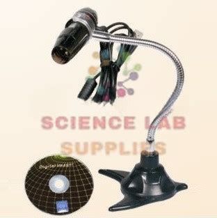 Image result for Hand USB Microscope