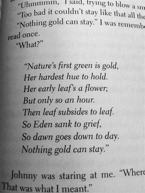 The Outsiders Stay Gold Poem