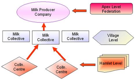 Dairying | Building and Enabling Disaster Resilience of Coastal ...