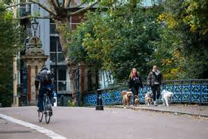 London council introduces Asbo-style rules for dogs