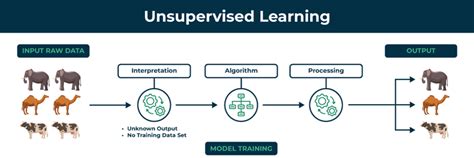 Types of Machine Learning Models