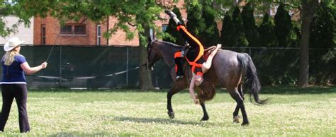 Image result for Python Rodeo Tricks