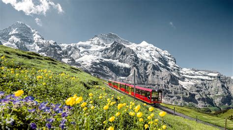 https://media.jungfrau.ch/image/upload/f_auto%2Cfl_lossy%2Cq_auto%2Cc_crop%2Car_16%3A9/c_scale%2Cw_1234/v1598517289/fileadmin/Jungfraujoch_Top_of_Europe/jungfraubahn-moench-jungfrau-sommer.jpg