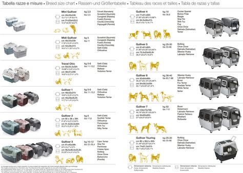 Dog Travel Crates: IATA Standards, Model Summaries & Measurements