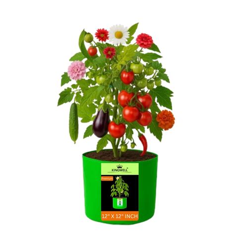 Kingwell Plant Grow Bags 12x12 inch pack of 1, Bags for Plants ...