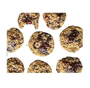Organic Bakers Chocolate Cranberry cookies | 100gm | High Nutrition ...