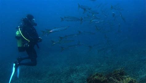 Curso de buceo PADI Open Water en Las Negras, Níjar - Central de Reservas