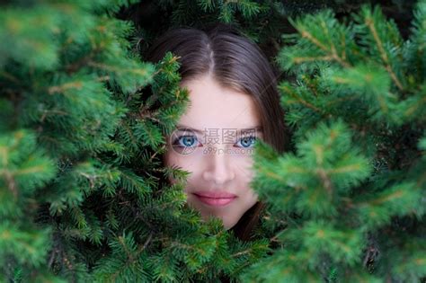 青年轻美丽的欧洲女孩面孔在firtree树枝中青少年相机高清图片下载-正版图片307564295-摄图网