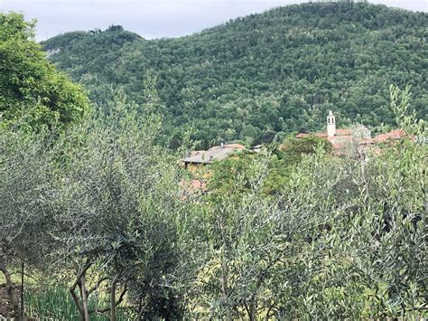 THE 10 BEST Places to Visit in Mombello (2025) - Must-See Attractions