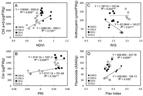 Biochemical and Physiological Characteristics of Photosynthesis in ...