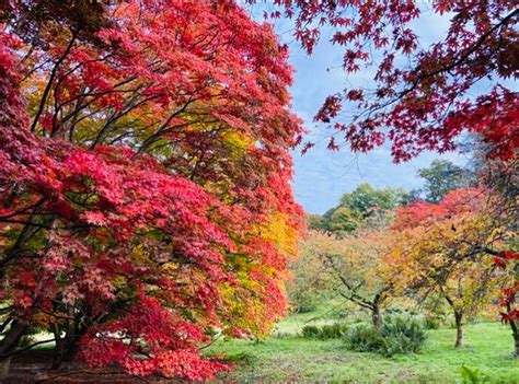 Hiking Nation - West Lulworth | Tripadvisor