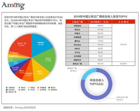 中国公有云厂商2019年收入排名TOP10分析_发展
