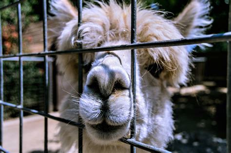 Applegate Park Zoo, Merced Vacation Rentals: house rentals & more | Vrbo