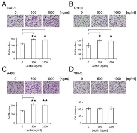 Leptin Is Associated with Poor Clinical Outcomes and Promotes Clear ...