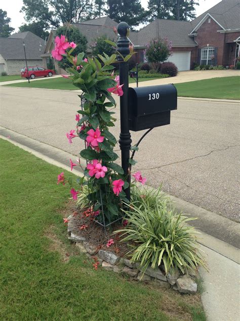 Mailbox planting ideas – Artofit