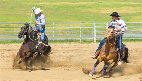 Image result for Team Roping.com