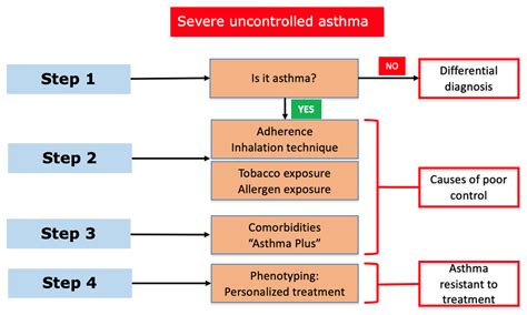 Severe Asthma and Biological Therapies: Now and the Future