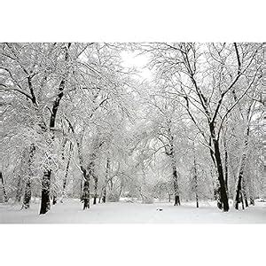 CRTPOD 9x6ft Winter Scene White Backdrop for Photoshoot Snow Forest ...