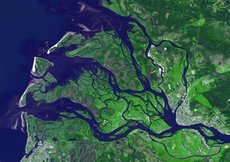 Image result for Delta PCO2