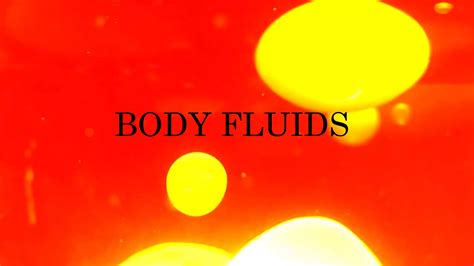 Body Fluids Tutorial 的图像结果