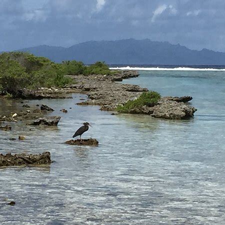 Bora Bora Lagoonarium (Vaitape) - What to Know Before You Go (with ...