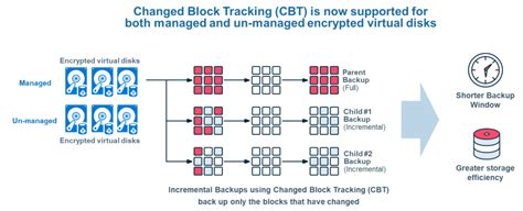 Image result for CommVault Encrypt Data On Primary Copy