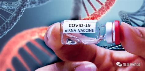 辉瑞寻求FDA下个月批准其第三针新冠mRNA疫苗__中国医疗