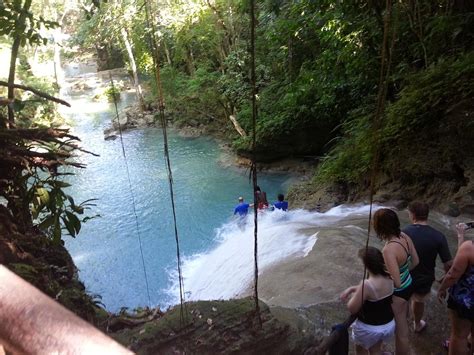 NATIVE TOURS JAMAICA - All You Need to Know BEFORE You Go 2026 (with ...