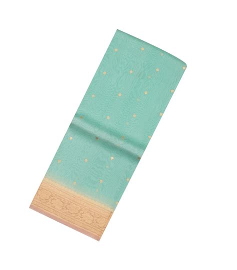 Turquoise Woven Organza Saree With Floral Motifs & Contrast Border ...