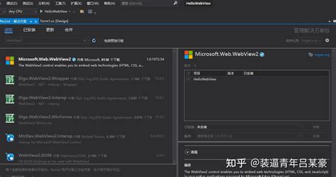 Image result for Webview2 Example