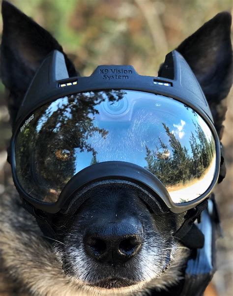 These camera-equipped dog goggles keep special-forces canines connected ...