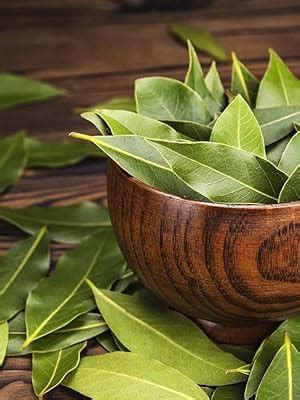 Bague Bay Leaf Leaves Tez Patta Whole Spicetej patta biryani aaku (50 ...