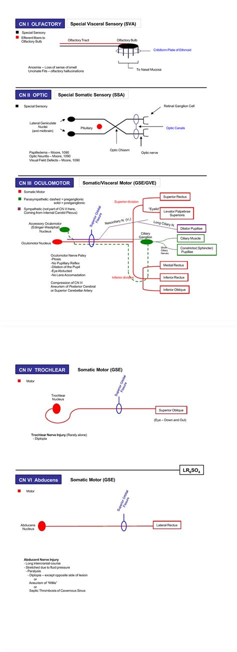 48 Laws of Power - Greene - Robert PDF Animal Anatomy Face - CN I ...