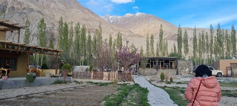 NUBRA ECOLODGE (Sumur) - Lodge Reviews, Photos, Rate Comparison ...