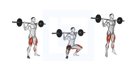 Image result for Squats Using Exercise Ball