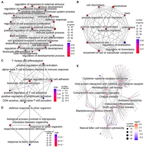 Genome-Wide DNA Methylation and Transcriptome Integration Associates ...
