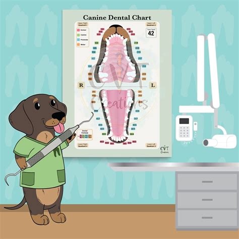 Canine Dental Chart Print - Etsy